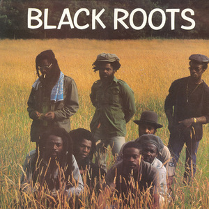Black Roots (Vinyl)