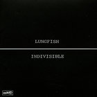 Indivisible (Vinyl)