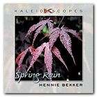 Hennie Bekker - Spring Rain