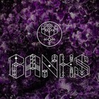 Banks - Before I Ever Met You (CDS)