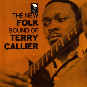 The New Folk Sound Of Terry Callier (Vinyl)