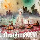 Bran Van 3000 - The Garden