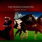 Frank Vignola - Gypsy Grass (With Collective)