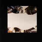 Pantha du Prince - Butterfly Girl Versions (EP)