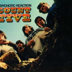 Psychotic Reaction (Remastered 2007)