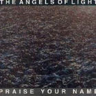 Praise Your Name (CDS)