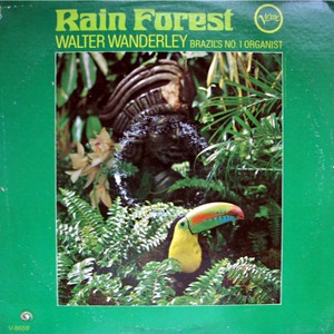 Rain Forest (Vinyl)