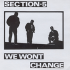 Section 5 - We Wont Change (Vinyl)