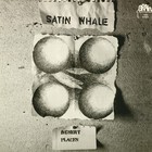 Satin Whale - Desert Places (Vinyl)