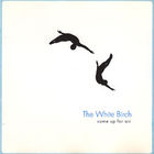 The White Birch - Come Up For Air