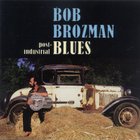 Bob Brozman - Post-Industrial Blues