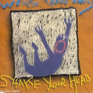 Shake Your Head