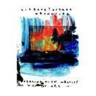 Vibracathedral Orchestra - Dabbling With Gravity And Who You Are