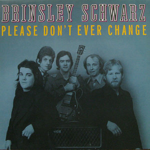 Please Don't Ever Change (Vinyl)