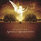 Angel Of Awakening