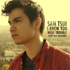 Sam Tsui - I Knew You Were Trouble (CDS)