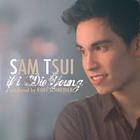 Sam Tsui - If I Die Young (CDS)
