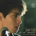 Sam Tsui - Jar Of Hearts (CDS)