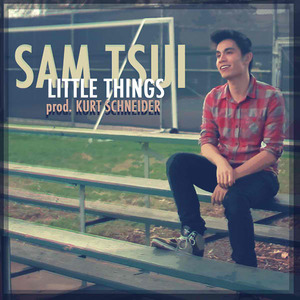 Little Things (CDS)