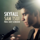 Sam Tsui - Skyfall (CDS)