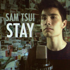 Sam Tsui - Stay (CDS)
