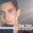 Sam Tsui - Titanium (CDS)