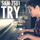 Sam Tsui - Try (CDS)