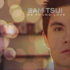 Sam Tsui - We Found Love (CDS)