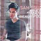 Sam Tsui - What Makes You Beautiful (CDS)
