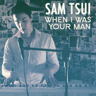 Sam Tsui - When I Was Your Man (CDS)