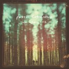 Fossil Collective - Tell Where I Lie (Bonus Track Version)