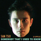 Somebody That I Used To Know (A Cappella) (CDS)