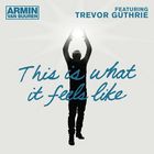 Armin van Buuren - This Is What It Feels Like (MCD) (Remixes)