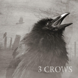 3 Crows (With Brett Garsed & Virgil Donati)