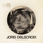 Joris Delacroix - Room With View
