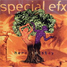Special EFX - Here To Stay