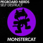 Pegboard Nerds - Self Destruct (CDS)
