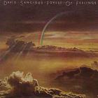 David Sancious - Forest Of Feelings (Remastered 1992)