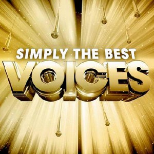 Voices: Simply The Best CD2