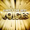 Celine Dion - Voices: Simply The Best CD3