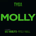 Tyga - Molly (CDS)