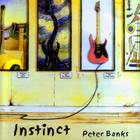 Peter Banks - Instinct