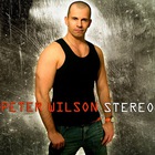Peter Wilson - Stereo CD2