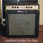 The Figgs - Continue To Enjoy The Figgs