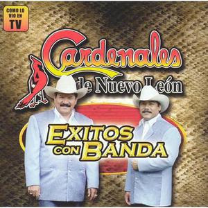 Exitos Con Banda