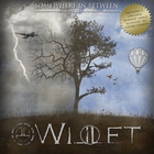 Willet - Somewhere In Between