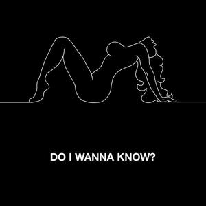 Do I Wanna Know? (CDS)