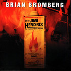 Brian Bromberg - Plays Jimi Hendrix