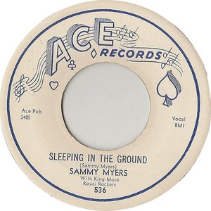Sleeping In The Ground (VLS)