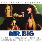 MR. Big - Extended Versions